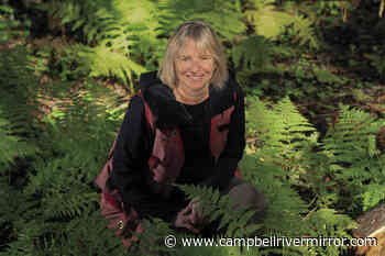 Annual Haig-Brown Lecture to feature world-renowned forest ecologist Suzanne Simard – Campbell River Mirror - Campbell River Mirror