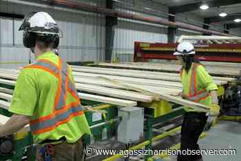 'Disrespectful': BC First Nations blast NDP's forest renewal effort – Agassiz Harrison Observer - Agassiz Harrison Observer