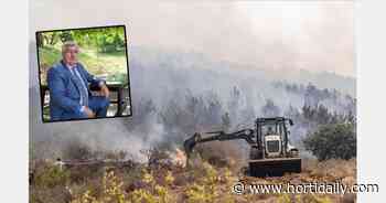 Forest fires cause significant damage in greenhouses in southern Turkey - hortidaily.com