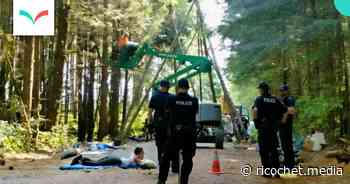 Double standard: BC requires Indigenous consent for forest conservation but not logging | Ricochet - Ricochet Media