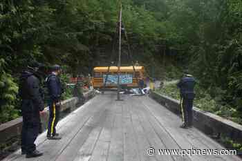 Forest company, RCMP, old-growth defenders due in court this month for 4 hearings - Parksville Qualicum Beach News