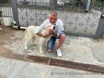 Thiago dall'abbandono sul raccordo anulare a "primo cane" di Samarate: «Lui e gli altri animali sono la mia vita» - InformazioneOnline.it