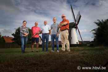 Molenvrienden willen Kaulille opnieuw samen brood leren bak... (Bocholt) - Het Belang van Limburg Mobile - Het Belang van Limburg