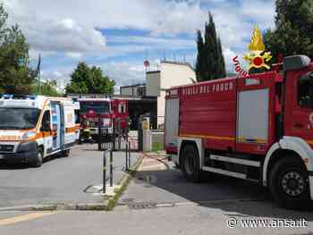 Incendi: gravi ustioni a uomo in campagna Sesto Fiorentino - Agenzia ANSA