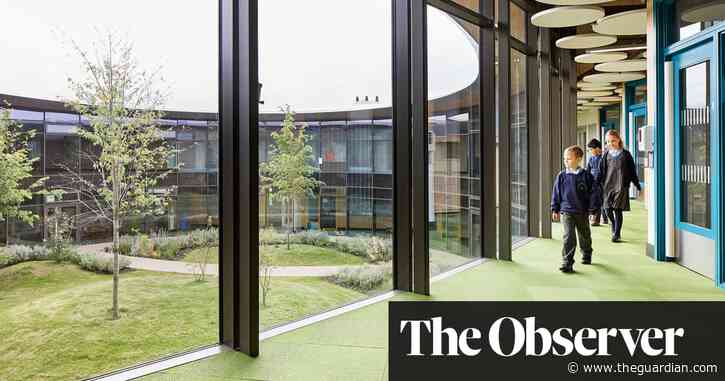 A grove, not Gove – the primary school with nature at its heart