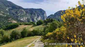 Andar per funghi lungo i sentieri e nei boschi, Cagli organizza una serie di passeggiate per cercatori neofiti - corriereadriatico.it