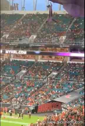 Un chat tombé du haut d'un stade miraculeusement sauvé par un drapeau américain