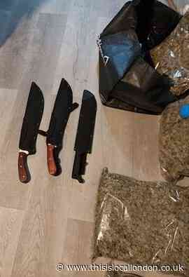 Two Merton arrests after warrant uncovers cannabis and machetes