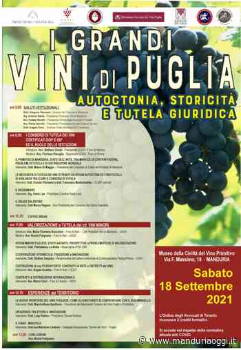MANDURIA - Sabato prossimo un seminario sul tema 'I grandi vini di Puglia. Autoctonia, storicità e tutela giuridica' - ManduriaOggi