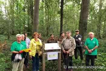Bevrijdingspad leidt wandelaars langs vernieuwde uitkijktoren: “Verzetsstrijders waarschuwden voor onheil”