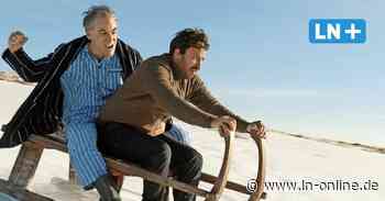 Politsatire "Curveball": Sebastian Blomberg über den BND und frisiertes Geheimdienstwissen - Lübecker Nachrichten