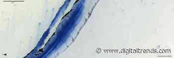 European Space Agency’s Trace Gas Orbiter snaps a volcanic trench on Mars