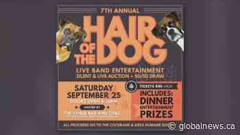 Cochrane and Area Humane Society shares fundraising ideas