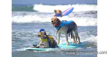 Surfurs Fetch Waves Seeking "Best In Surf" Title At 16Th Annual Surf Dog Surf-A-Thon