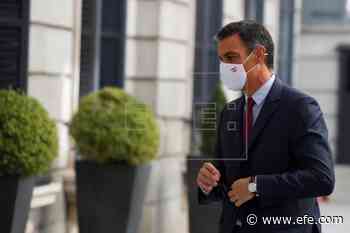 Sánchez expresa su solidaridad a las poblaciones afectadas por el incendio en Málaga - Agencia EFE