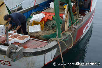 Fermo Obbligatorio Per La Pesca A Strascico, Cisl: “Ridotta L'Indennità. Oltre Al Danno La Beffa” - Corriere Salentino