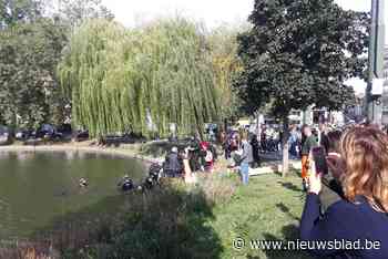 Duikers halen Elsense vijver leeg: indrukwekkende buit aan vuurwapens, kluizen, steps en ander afval - Het Nieuwsblad