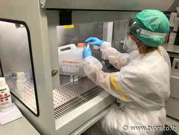 Covid, nuovi casi in aumento. Ma non si registrano decessi – TV Prato - tvprato.it