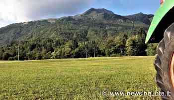 “L'ultimo taglio”: il prato di Gino e il presidio del territorio - News In Quota