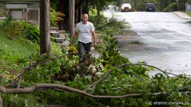Thousands still without power in Newfoundland and Labrador after hurricane Larry