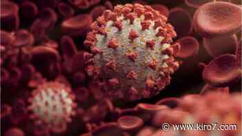 Coronavirus: US Rep. Joe Morelle tests positive for COVID-19 - KIRO Seattle