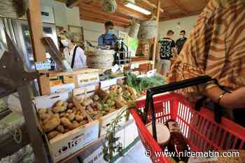 La coopérative agricole des Baous cartonne auprès des Azuréens