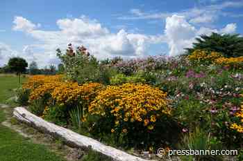 What to Do in the Garden in September - San Lorenzo Valley Press-Banner