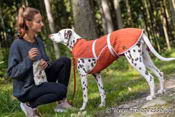 Meisterin Rammler aus Grünbach macht Hund und Herrchen chic - Freie Presse