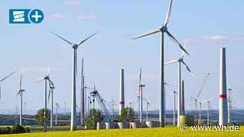 Windkraft in Marsberg: Streit wegen Vogelrastplatz - Westfalenpost