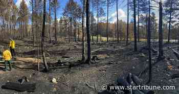 Greenwood wildfire in northern Minnesota 67% contained