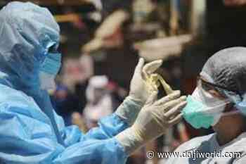 Karnataka records over 800 fresh coronavirus cases, equal number of recoveries - Daijiworld.com