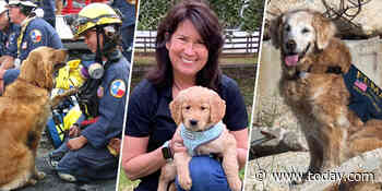 Last 9/11 search dog’s legacy lives on in rescue work — and in a furry kid sister