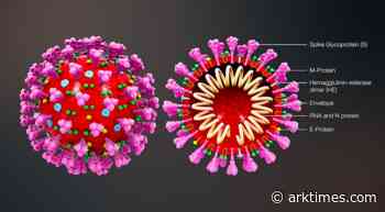 Coronavirus today update: 35 more dead and more mush from the guv - Arkansas Times