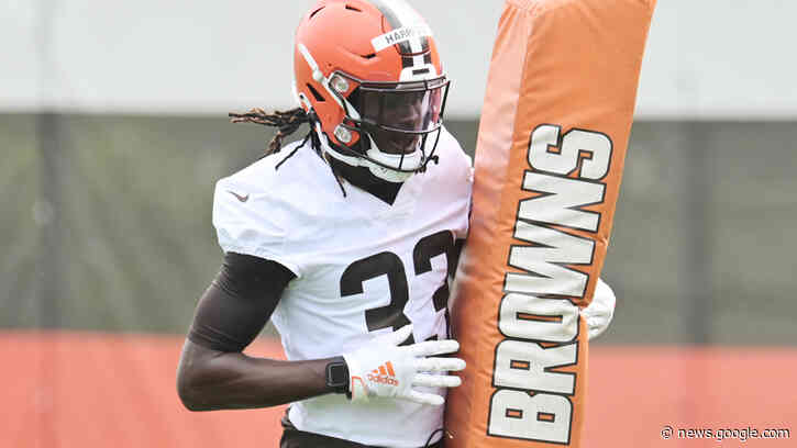 Browns' Ronnie Harrison Jr ejected after skirmish with Chiefs coach - Fox News