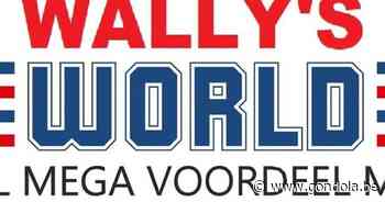 Wally's World, de mysterieuze opvolger van Mega World in Mol - Gondola