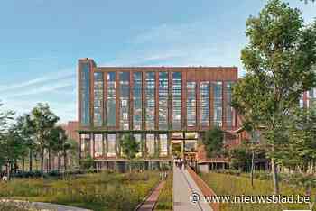 Deze gebouwen krijgen een bijzondere herbestemming: ‘light’-restauratie en daarna mag de natuur overnemen