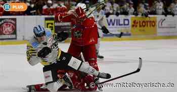 Eisbären siegen auch im zweiten Test - EVR - Nachrichten - Mittelbayerische