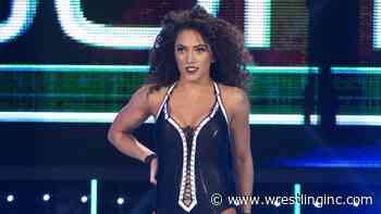 Former WWE NXT Star Now Taking Bookings - Wrestling Inc.