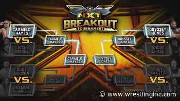 WWE NXT Breakout Tournament Finals Officially Announced, Triple H And Shawn Michaels React - Wrestling Inc.