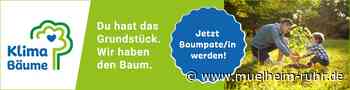 Klimabäume Aktion - Baumpat*innen gesucht