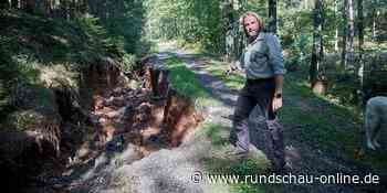 Nach der Flut in Euskirchen: Die Eifel kämpft gegen den Borkenkäfer - Kölnische Rundschau