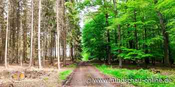Euskirchen: Wald, Eisbär, Klagemauer, Skyline – Die „Foto des Jahres 2020“-Gewinner - Kölnische Rundschau