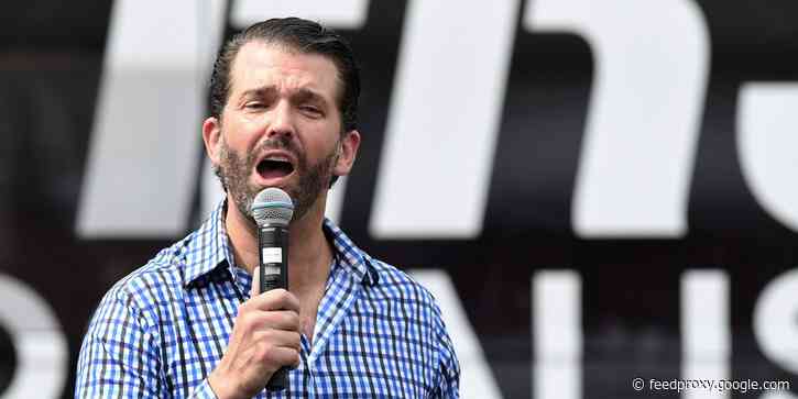 Donald Trump Jr. tried to entice people to tune in to his dad's boxing event by teasing Area 51 intel