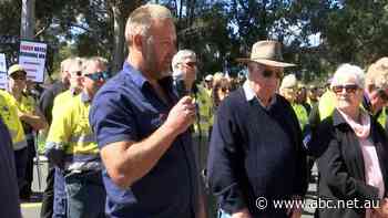 'Forestry is part of our DNA': Hundreds protest against ban on native logging