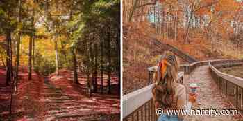 7 Toronto Fall Hikes That Will Take You Through A Red & Gold Wonderland - Narcity Canada