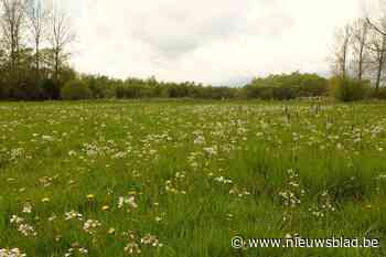 Pasar hervat wandelingen na lange onderbreking