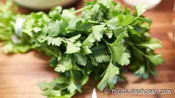 Dole recalls some of its fresh parsley over Shiga-toxin-producing E. coli