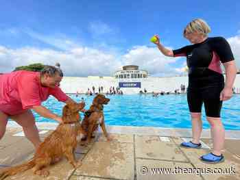 Doggy paddle is back in Saltdean and it’s bigger than ever