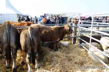 Vosges - La foire de Poussay est maintenue - Epinal infos - Epinal Infos