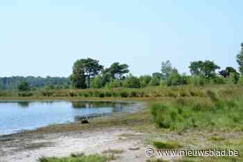 Stelt Grenspark Kalmthoutse Heide zich nu kandidaat of niet? Dinsdag is D-Day!
